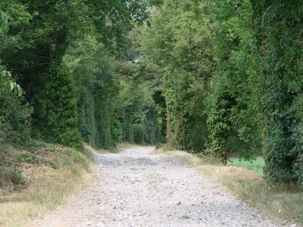 Chemin caillouteux près de la Balme