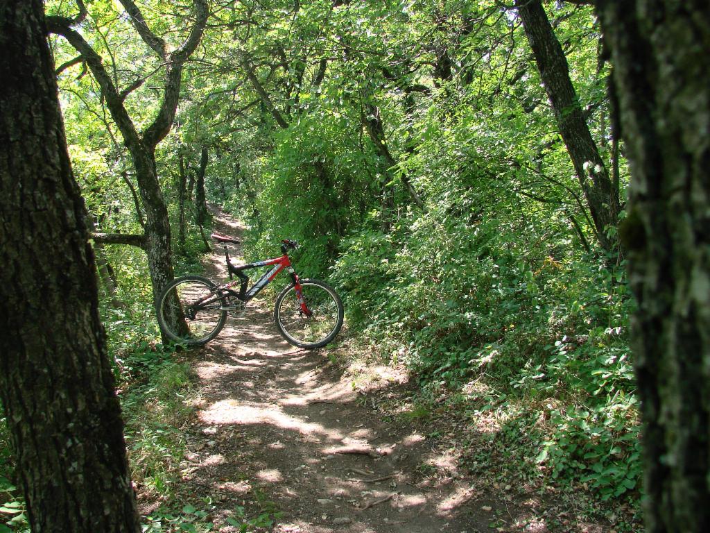 Sentier sur la Crête