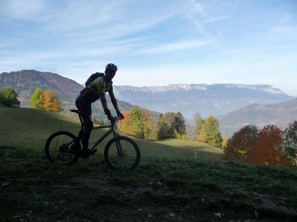 Couleurs automnales devant la Chartreuse