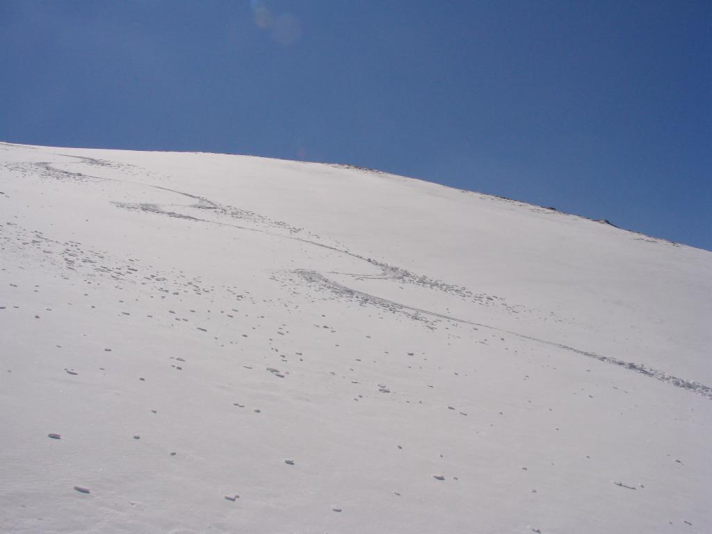 Einsame Spur...