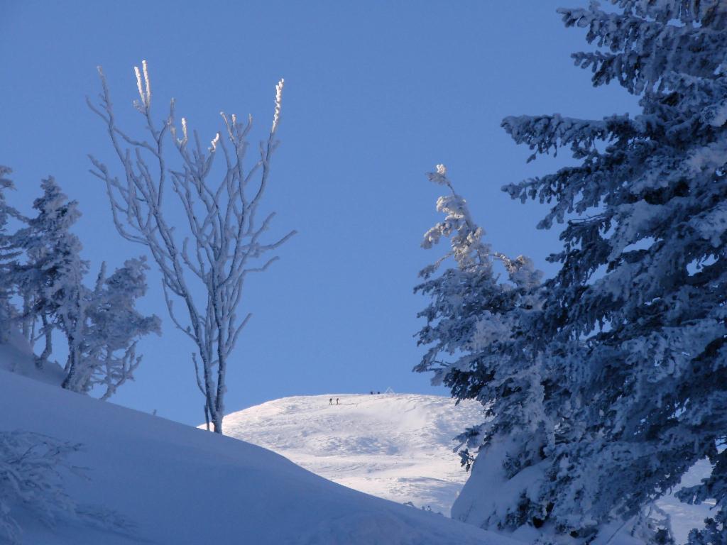 Blick durchs Leobner Törl zum Gipfel