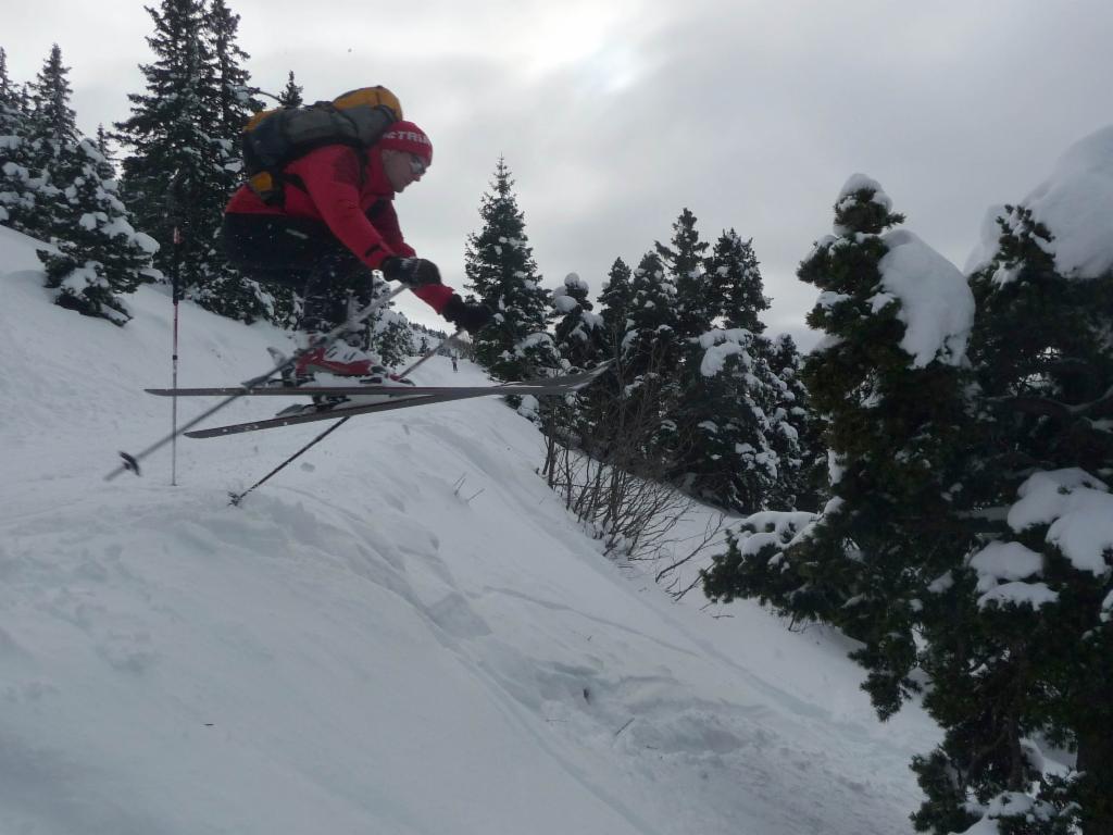 Saut
