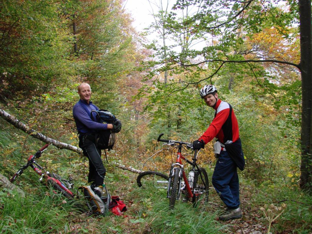 Montée par la forêt automnale