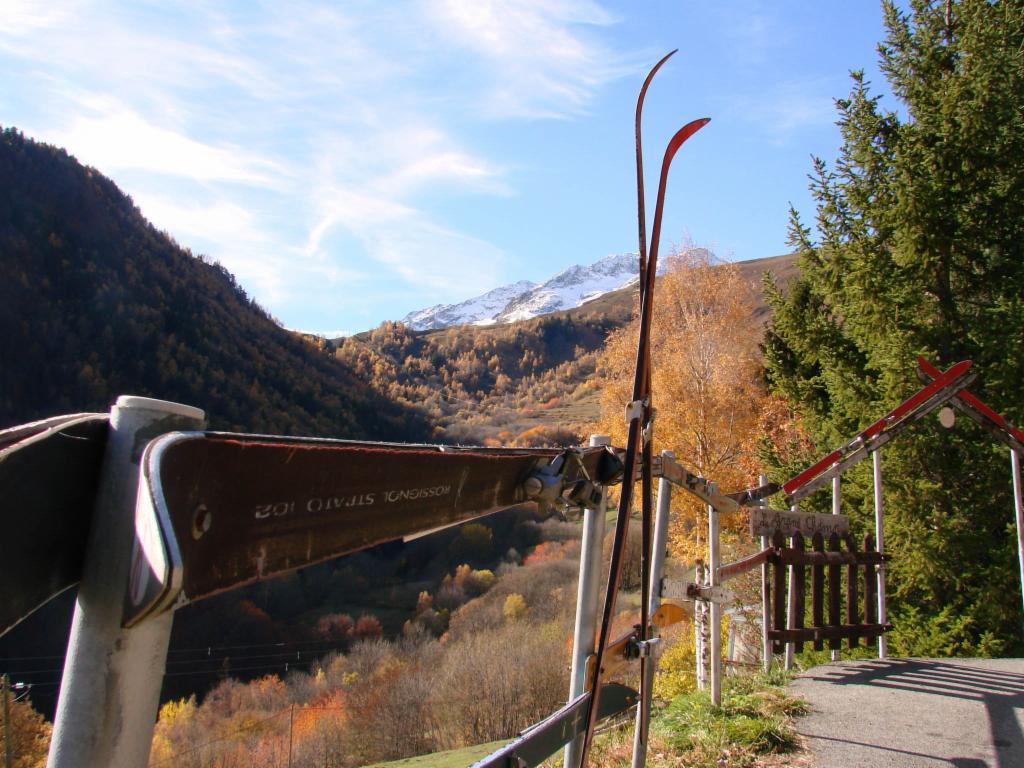 Clôture en skis