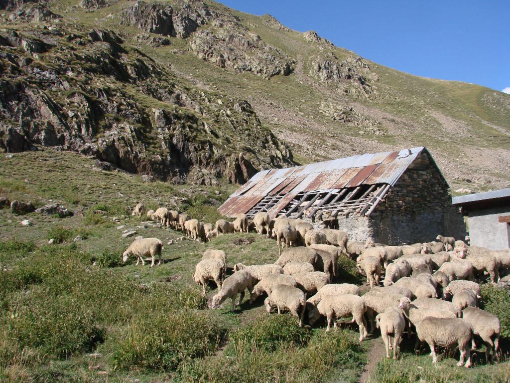Le Clos de la Chevalière