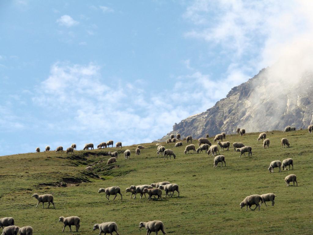 Descente