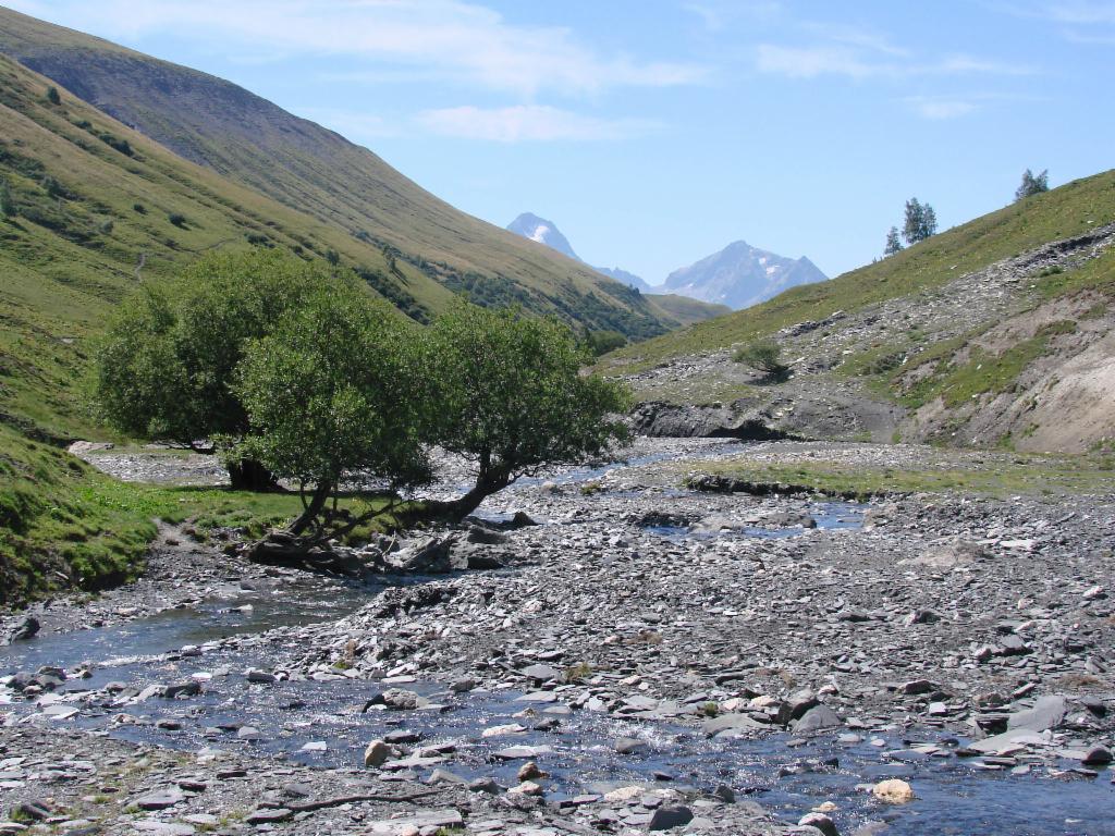 Au fond du Vallon de la Valette