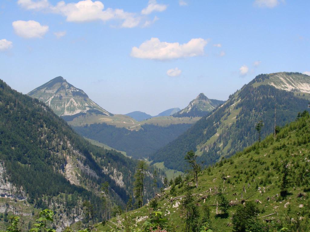 Gennerhorn und -alm