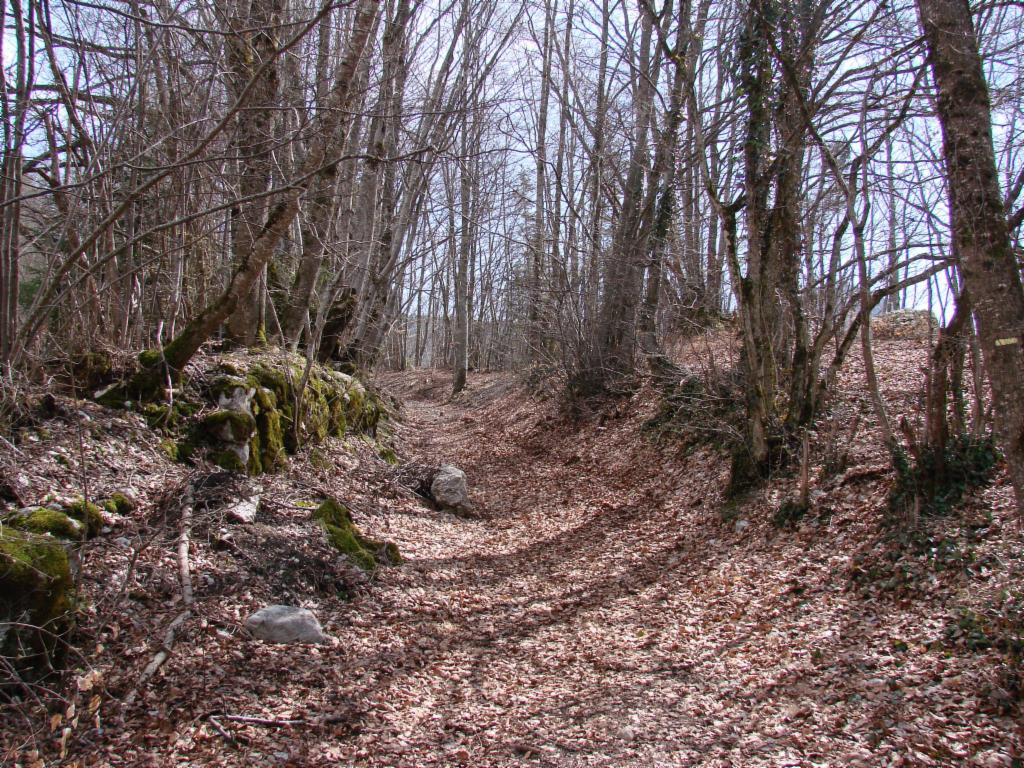 Chemin de montée