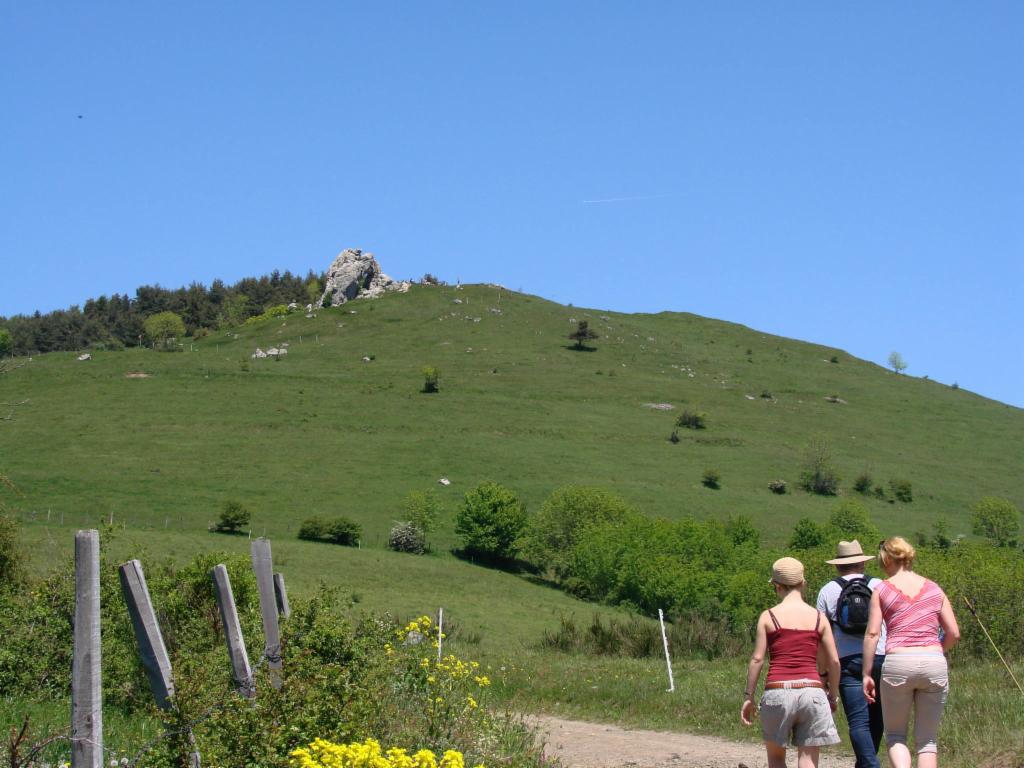 Montée: pierre près du sommet