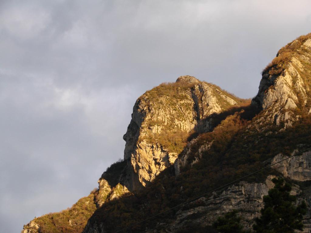 Le c&eacute;l&egrave;bre t&ecirc;te de la Savoyarde