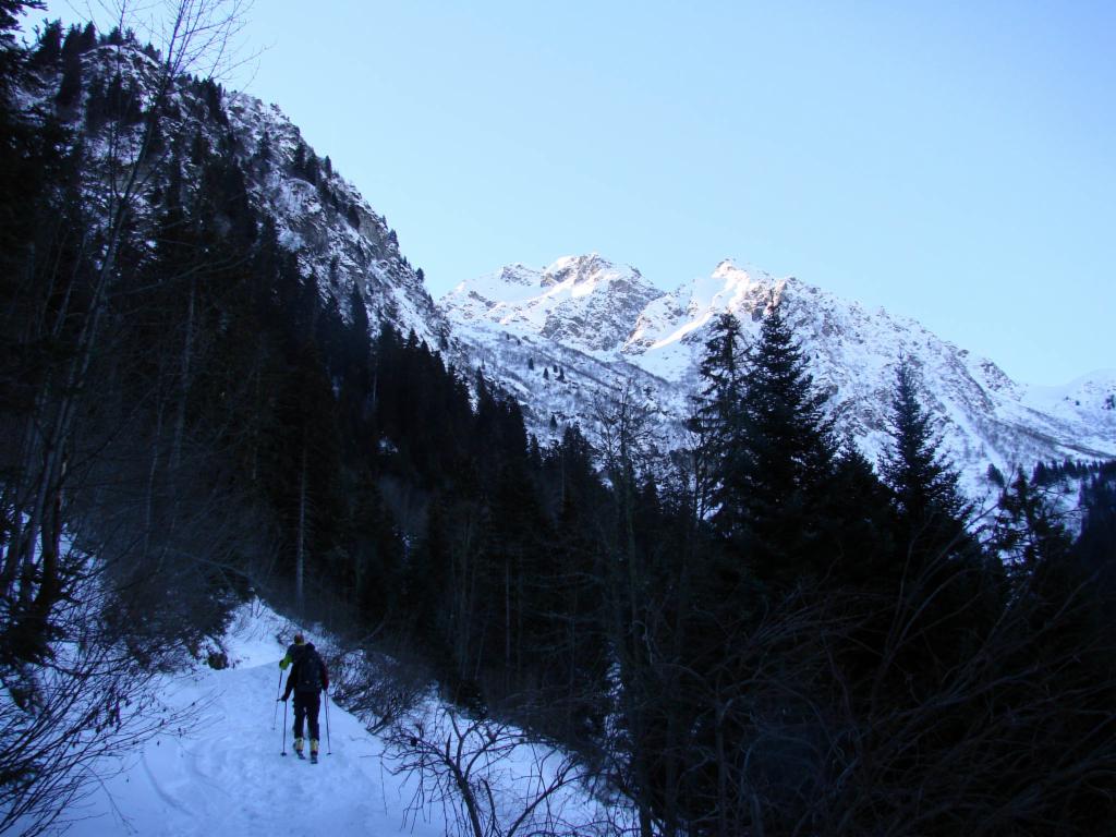 Montée sur la route forestière, vue vers le Grand Replomb