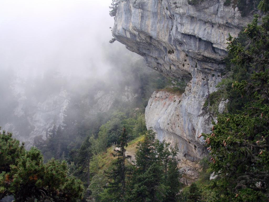 Sentier sous les falaises