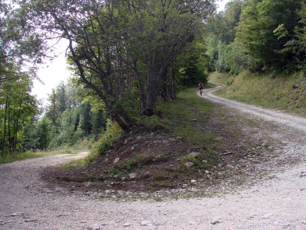 Montée sur la route forestière