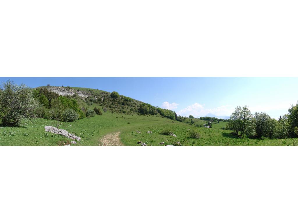 Plateau de Sornin