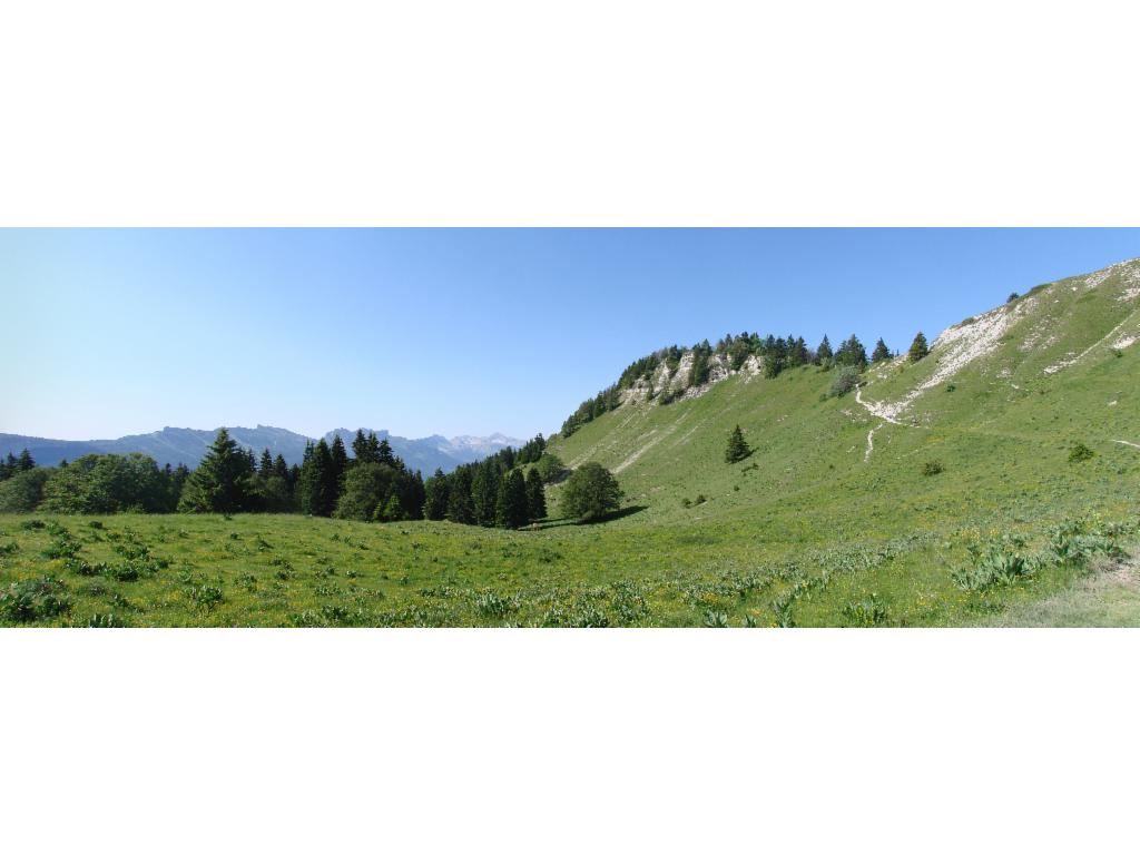 Montée au Pas de Bellecombe
