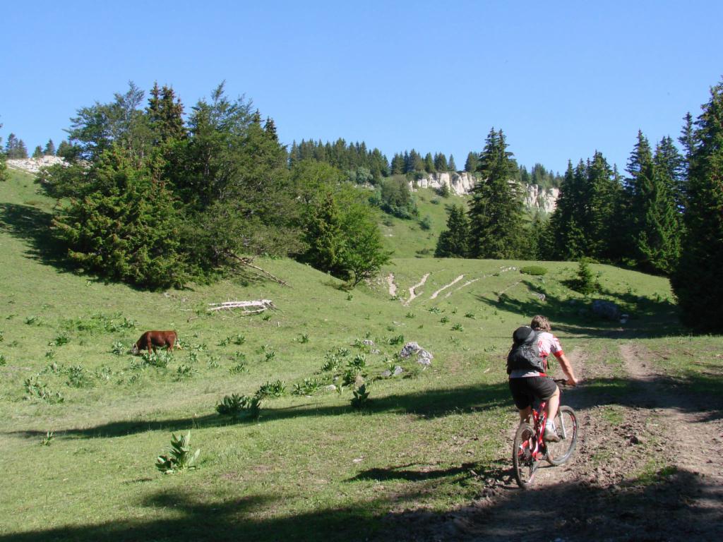 Montée vers l'alpage de la Molière