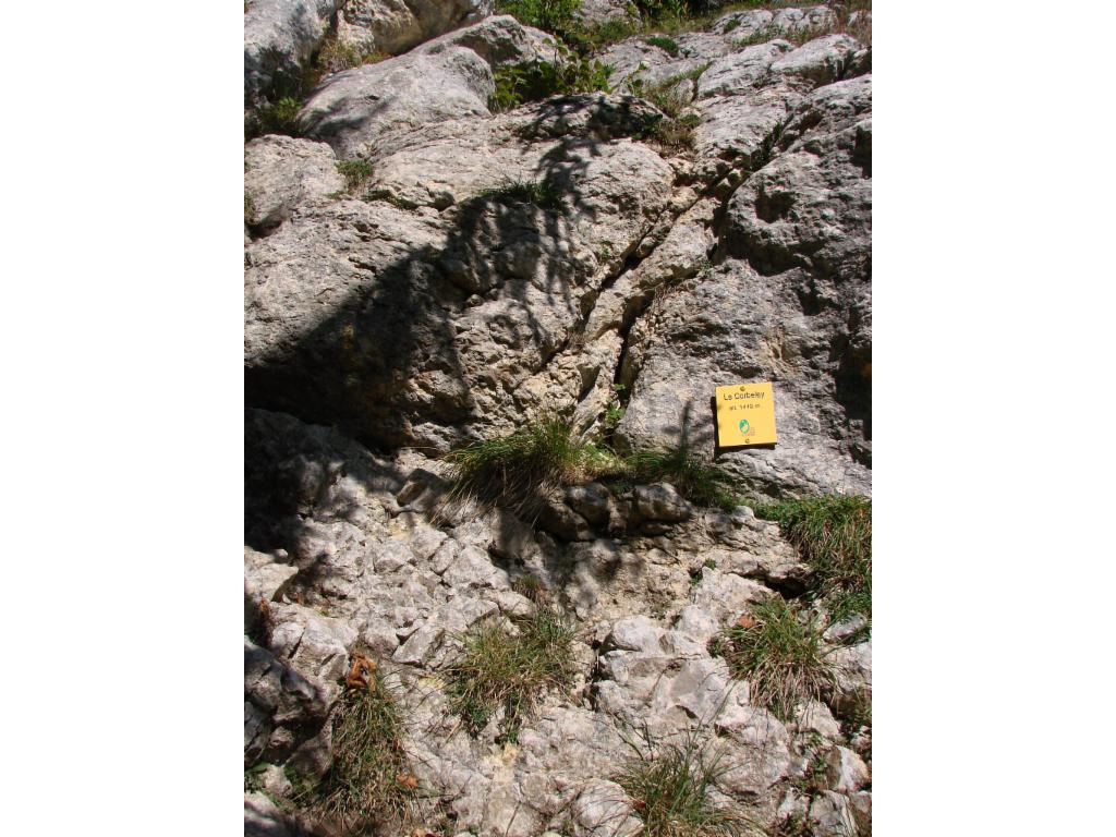 Pas d'escalade au Corbeley