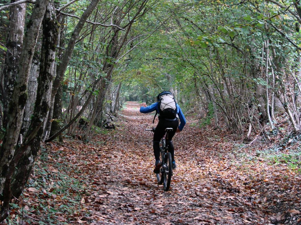 Montée sur le tracé de l'ancienne crémaillère
