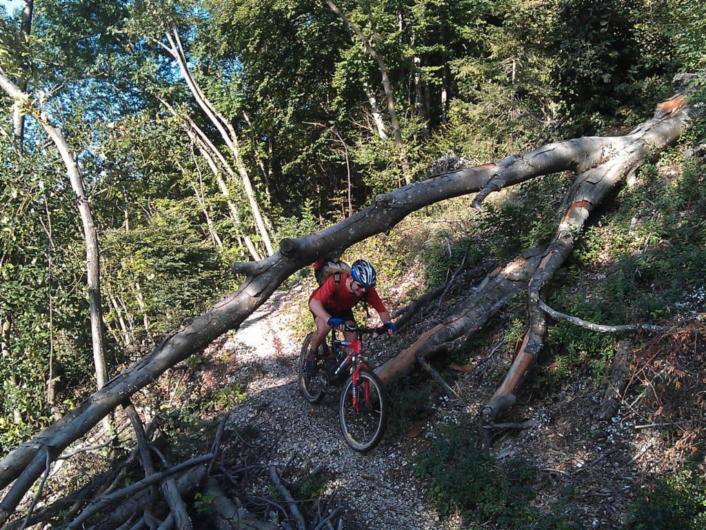 Peter pendant la descente