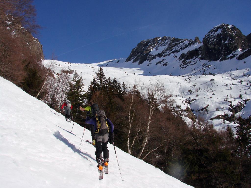 Sortie de la forêt : Combe de l'Émay