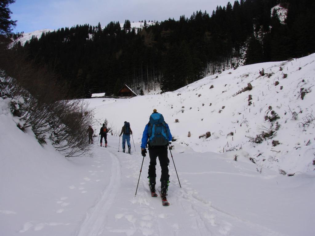 Auf der Lackneralm