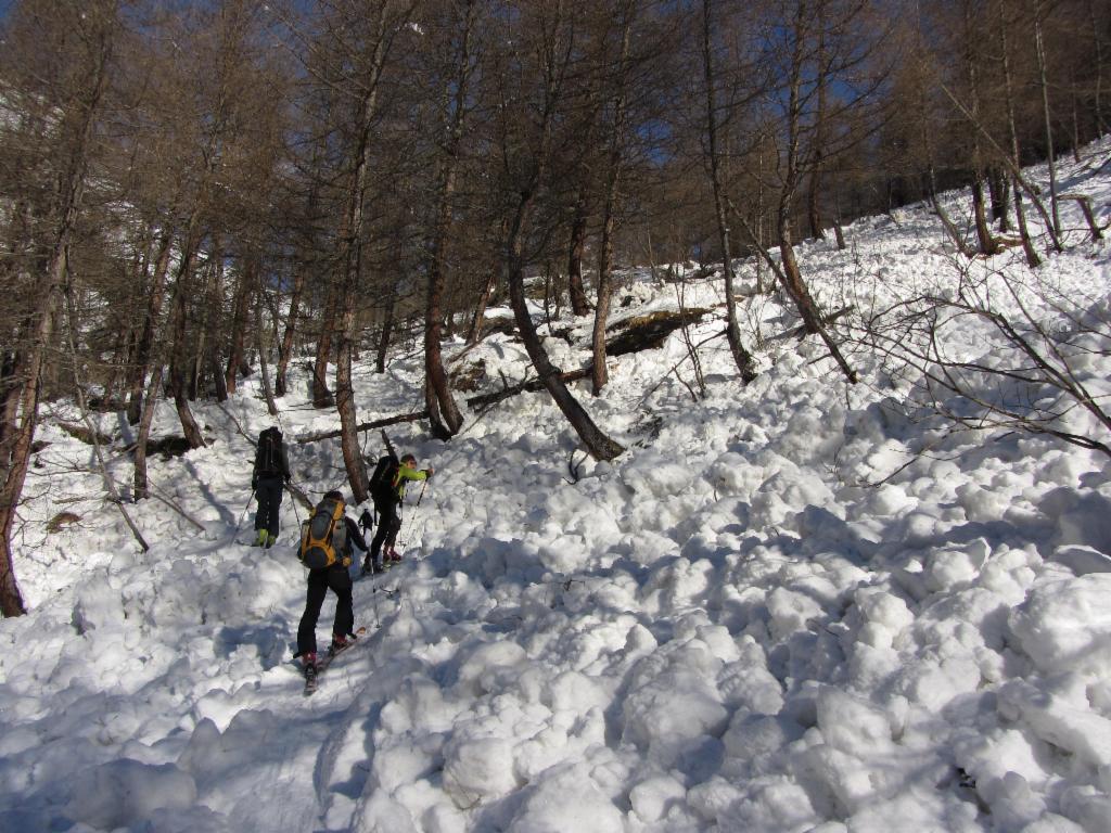 Von Lawinen verwüsteter Weg durchs Maurertal