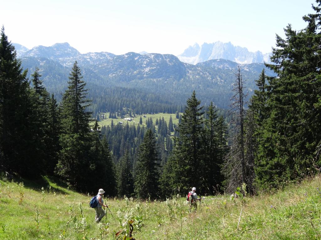 Abstieg zur Plankensteinalm