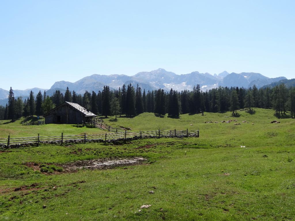 Plankensteinalm und Dachsteinberge