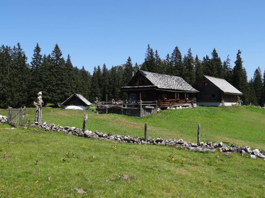 Auf der Plankensteinalm