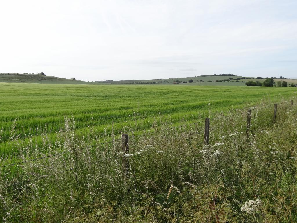 Fields and hills near Blewbury