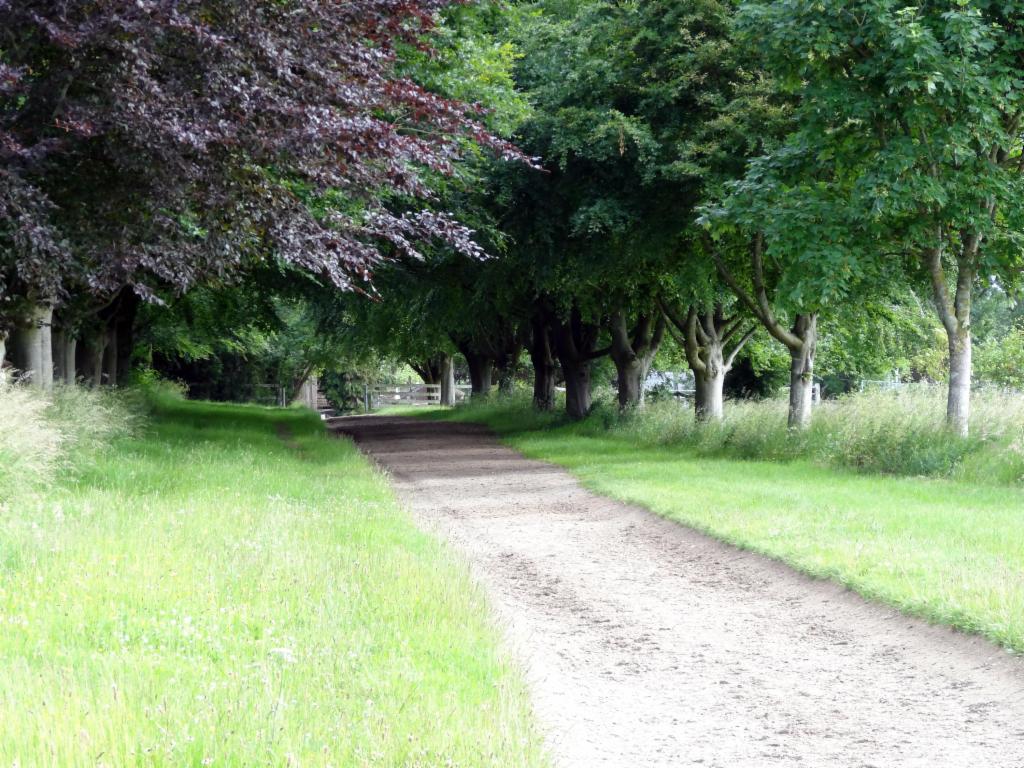 Farm track from Blewbury to the Ridgeway