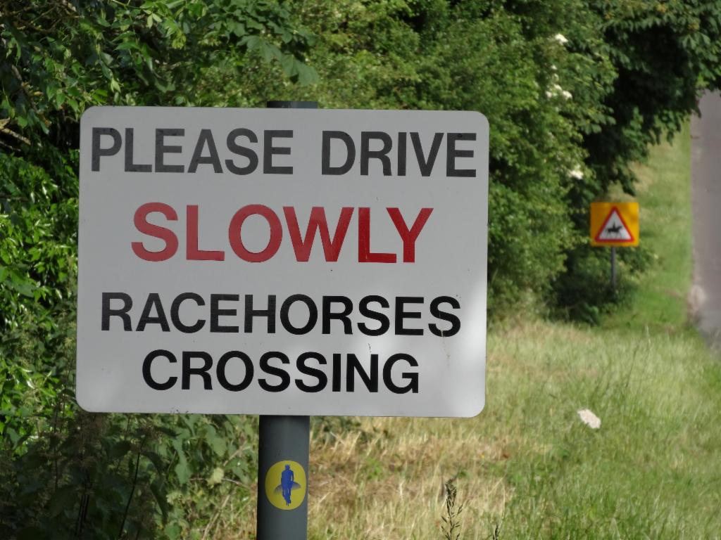 Racehorses crossing!