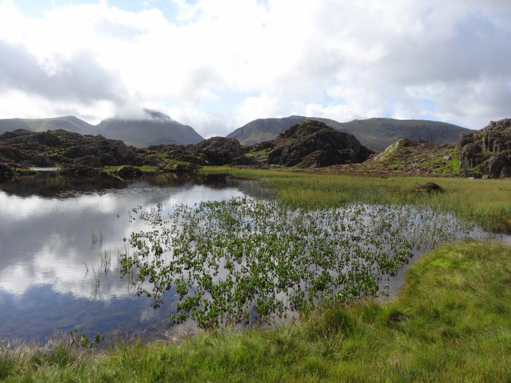 Idyllic tarn on the plateau