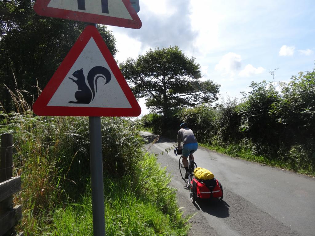 Beware of squirrels on the way towards Loweswater