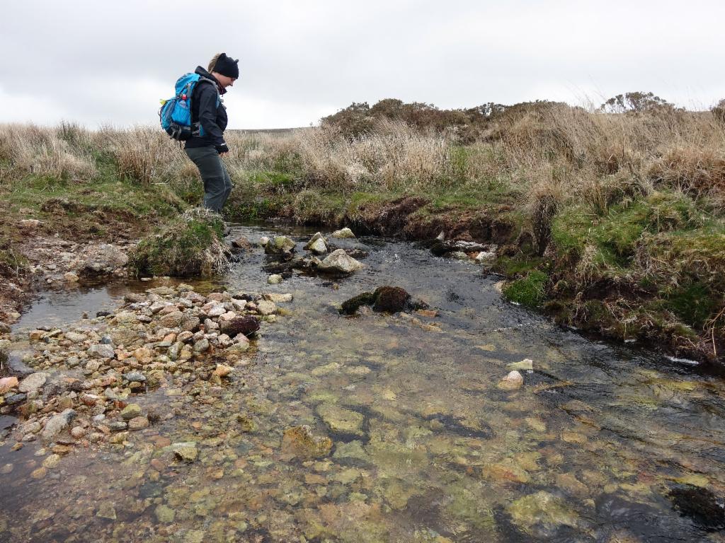 Brook crossing...