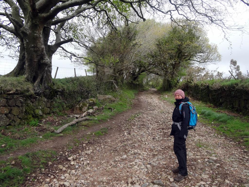 Path down to Ivybridge