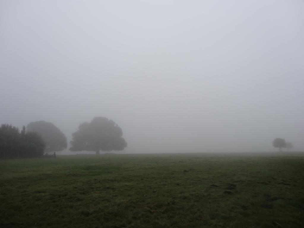 Foggy morning