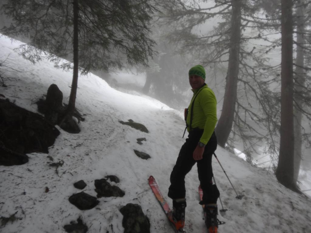 Montée dans la forêt