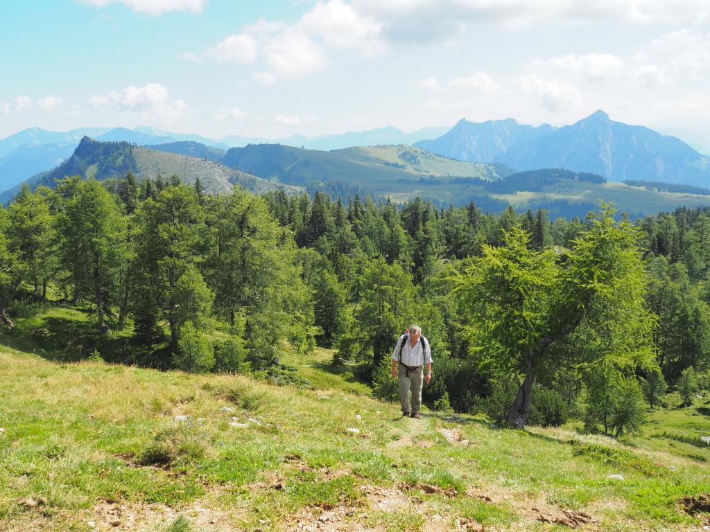 Die letzten Meter aus dem Wald...