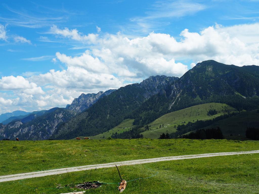 Wilder Jäger, Scharfen und Braunedlkogel