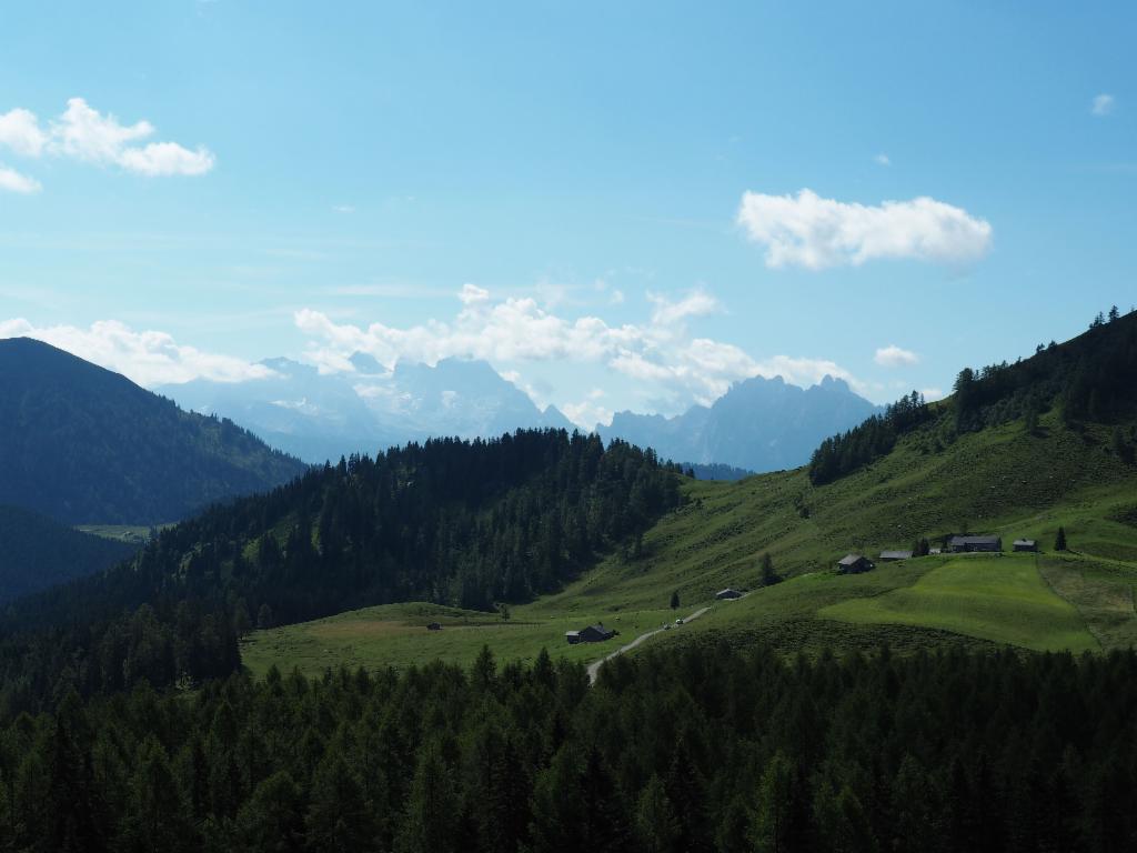 Dachstein und Gosaukamm hinter der Labenbergalm