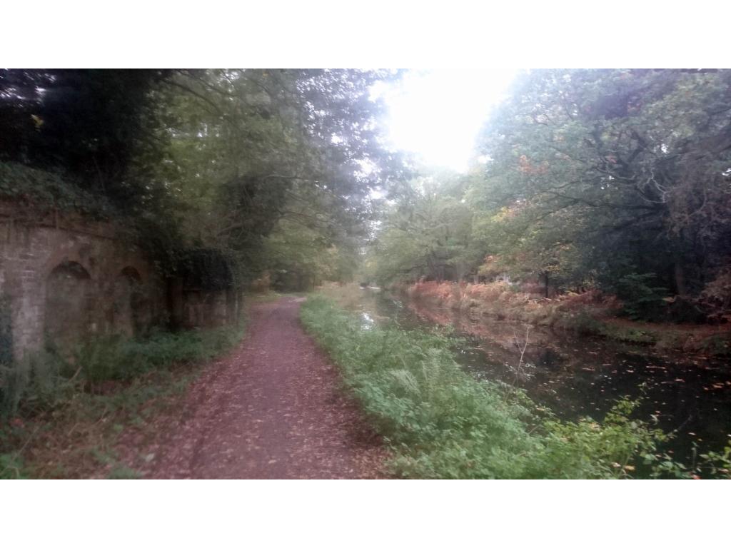 Tow path from Brookwood to Farnborough