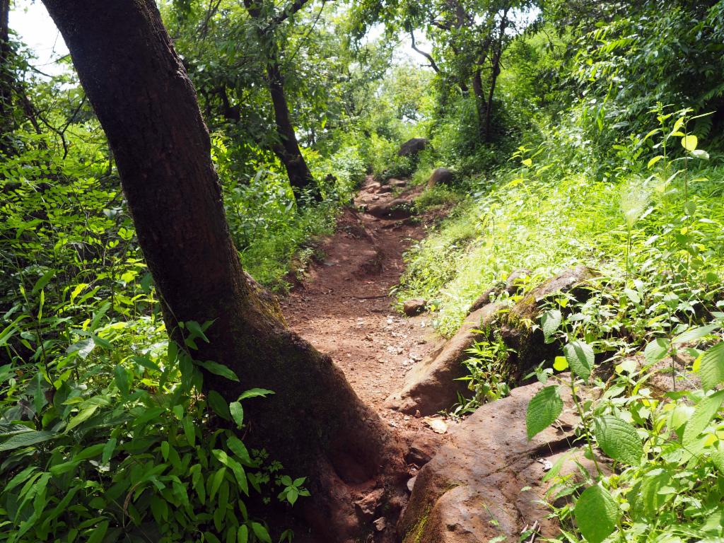 Path on the broad ridge
