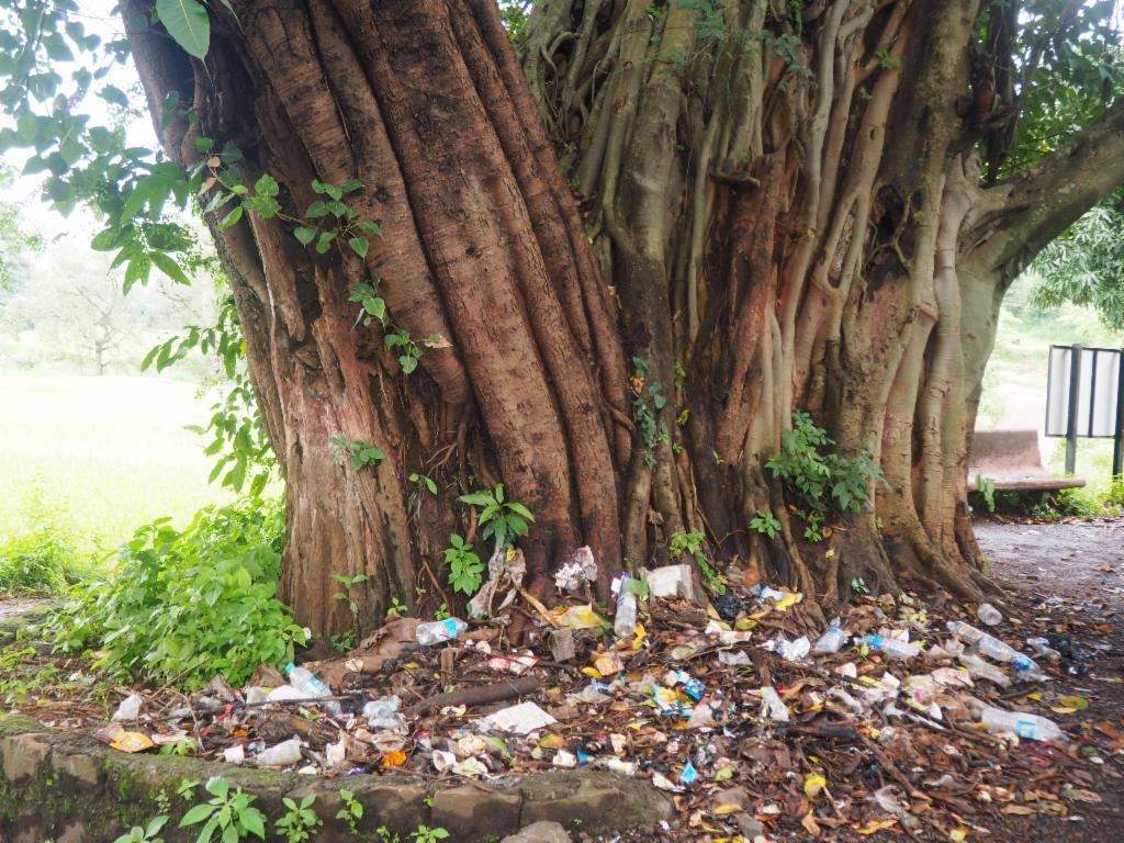 Village tree and garbage dump in Gunjavane