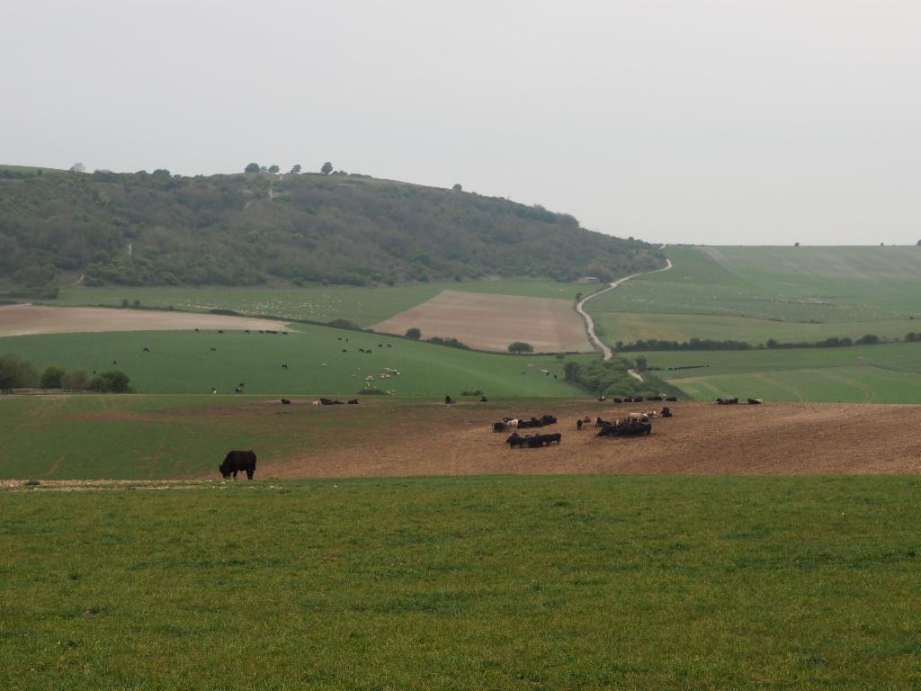 Hills north of Lancing