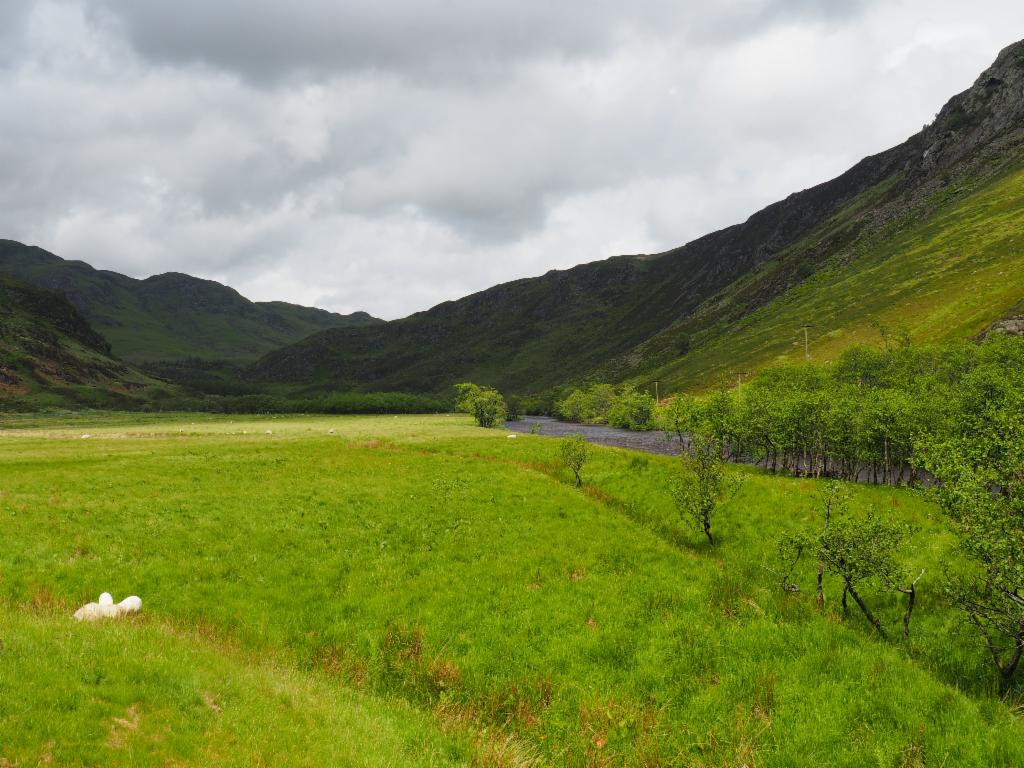 Glen Almond