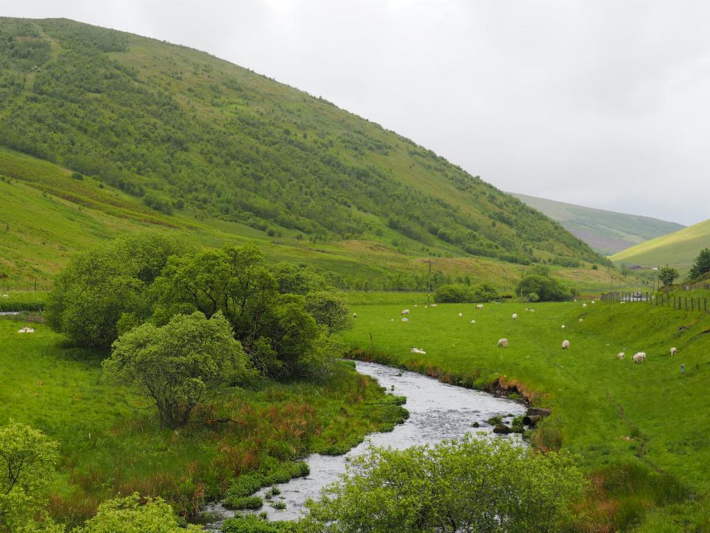 Glen Devon