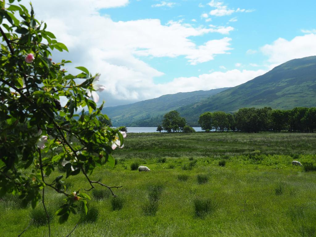 Loch Earn