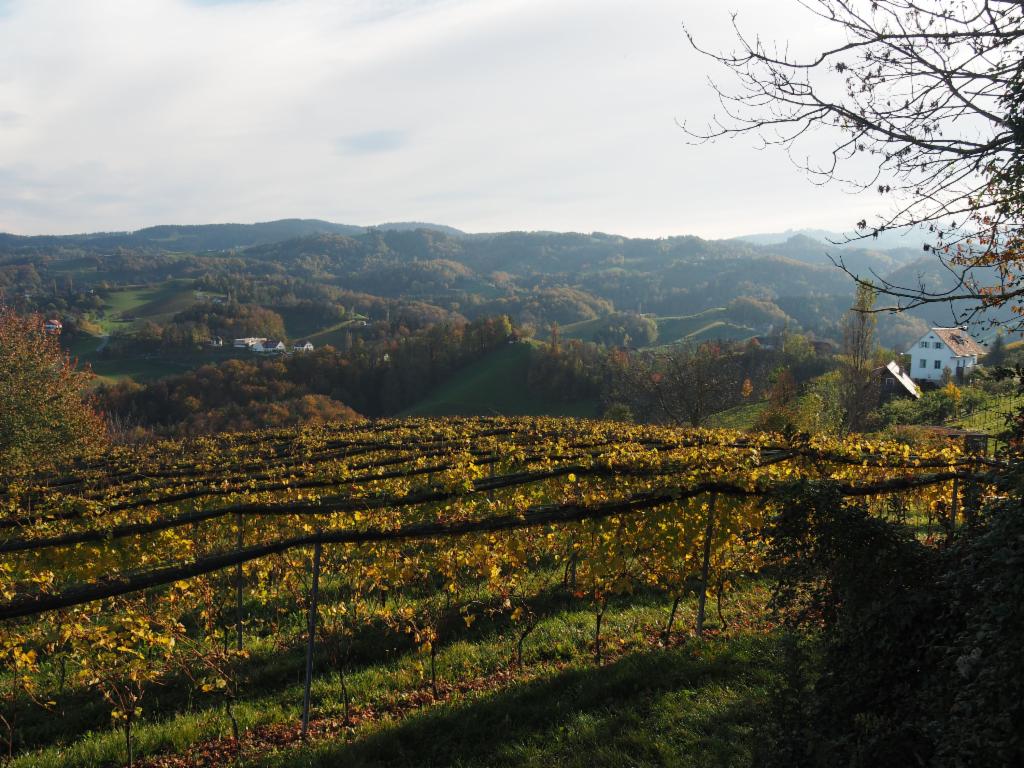 Ausblick vom Eory-Kogel nach Südosten